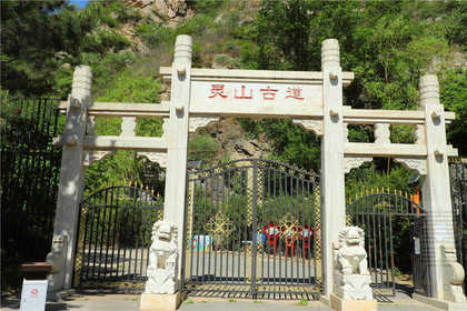 【栖桐之旅】灵山木屋两日团建