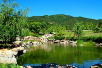 【西山公园公益团建】森林守护者