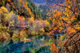 【草原七彩森林寻宝+骑马游乐场】炫舞森林 打卡夏季最美