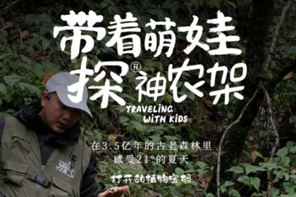 带着萌娃探神农架 在3.5亿年的古老森林里，感受21°的夏天，打开动植物密码