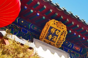 1日｜白瀑寺•深山中的千年魔幻古刹の寺庙奇幻的天花板