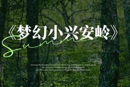 梦幻小兴安岭B线 | 伊春4天3晚丨哈尔滨-伊春