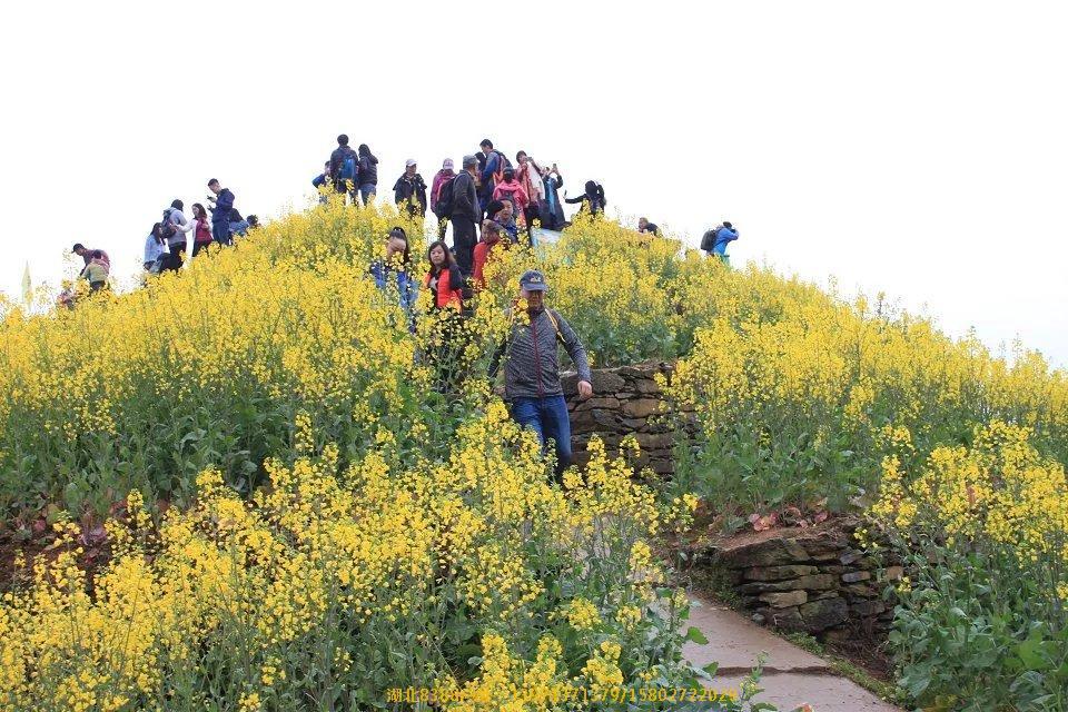 春游石潭-新安江