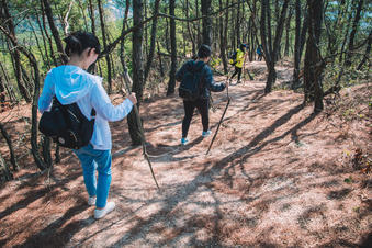 微信图片_20190925133854