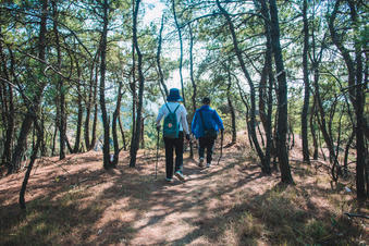 微信图片_20190925133859