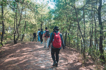 微信图片_20190925133952