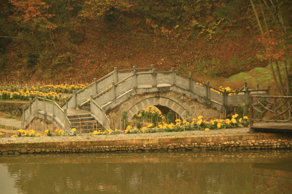 2020马丁公路自驾活动