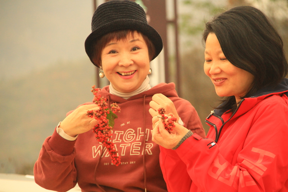 2020马丁公路自驾活动