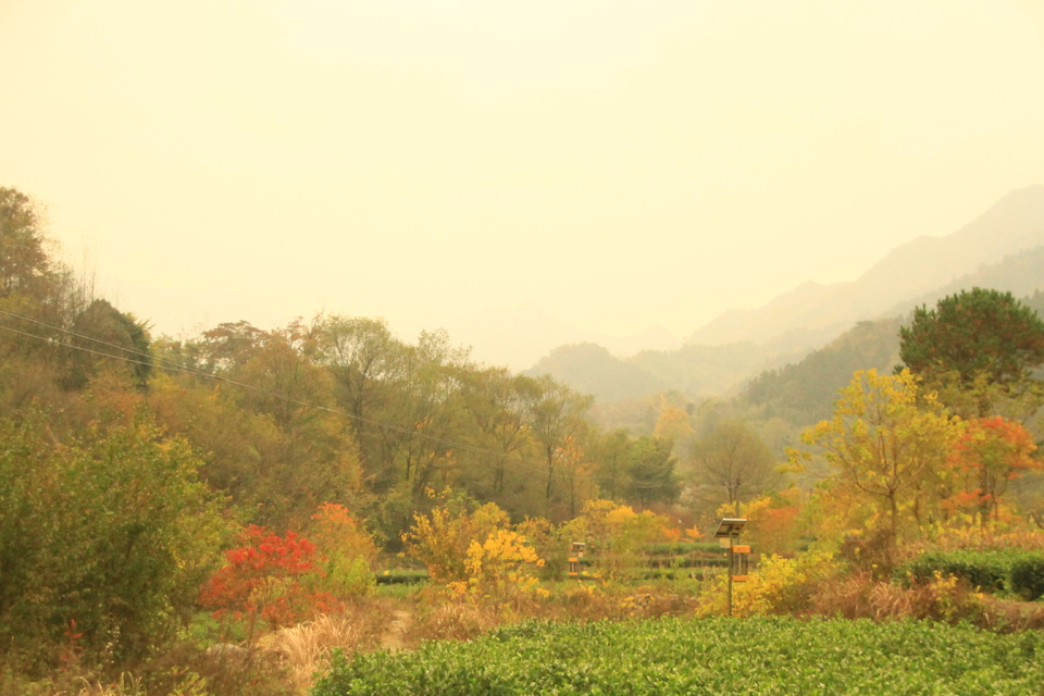 2020马丁公路自驾活动