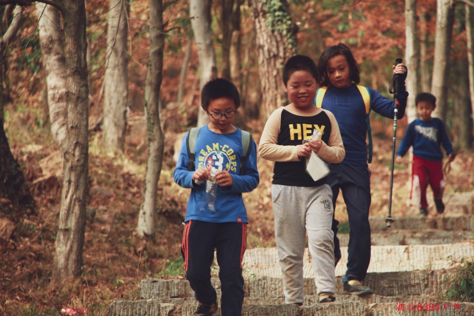 IMG_6583_edit_173769664049543