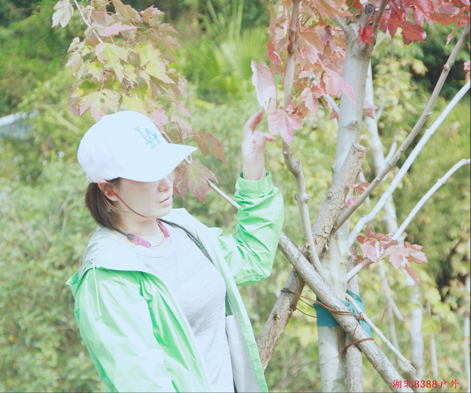 IMG_6641_edit_174161400573300