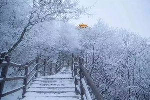 【元旦老君山】元月1-3日登金顶-观十里画廊雾凇雪景3日游