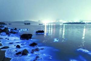 【国庆-遇见平潭岛】10月1-5日东方圣托里尼休闲5日