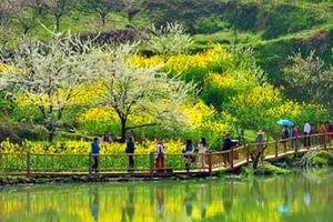 【特惠88-赏花行摄】3.19/21两期： “小婺源“大冶沼山村徒步赏花，小桥流水百年古村