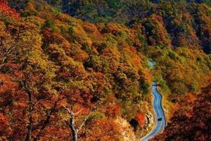 【经典-自驾游】11.8-9 穿越网红马丁公路 • 独家秘线•沙河银杏谷•星级住宿•品质2日游
