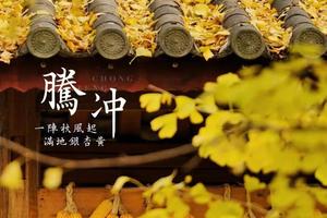 【魅力腾冲•国境线】11月22日两期：温泉热海，童话银杏村，最不“芒”边境小城9日游