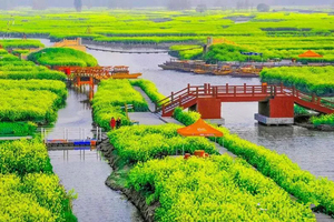 【烟花三月下扬州】3月28-31日/4月3-6号瘦西湖-兴化水上花海-水上森林-夫子庙秦淮河-牛首山休闲4日户外游