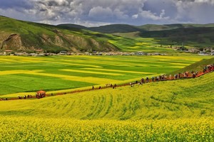 【传奇西北●青甘大环线】7.18-28/8.8-18日此生必去祖国大西北最美环线—青甘大环线11天（VIP车出行）