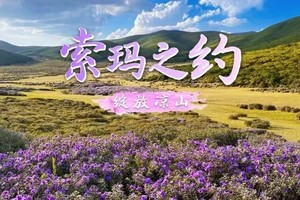 【新线首发 • 凉山索玛】4月20-27日一起看山花漫 温泉瀑布 绿野仙踪 秘境龙头山双飞8日行