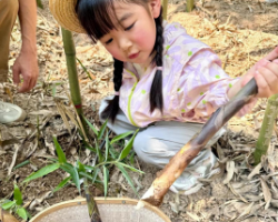【新线首发 • 亲子】4.19/20号|蕲春趣味挖竹笋|制作陶罐休闲1日游