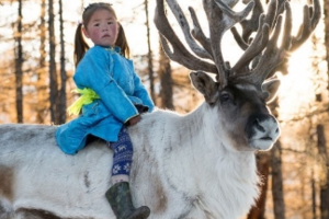 【探秘蒙古查探部落】7月29日 8月5/12日寻找即将消失的查坦文明10日游