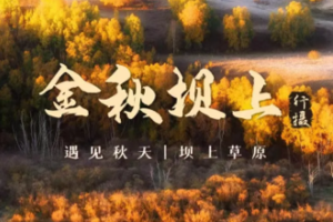 【国庆●坝上秋摄】10月1-8日金秋坝上草原 群马奔腾 马踏水花 金山岭长城8日行（VIP大巴）