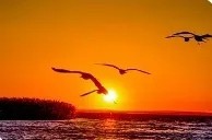 【国庆●金色胡杨】10.9-17日行摄额济纳旗胡杨林户外纯玩9日游（VIP车出行）