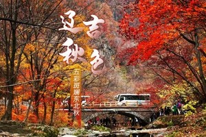 【辽吉秋色】10月9日赴世界枫叶之都 赏最美红叶  邂逅顶级秋色 中朝边境带你趣旅行7日行