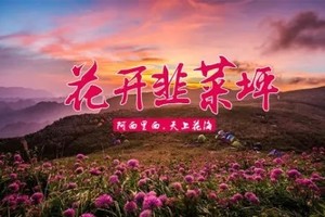 特价1980元【阿西里西 • 花开韭菜坪】9月6-12日贵州六盘水/龙宫/阿西里西大草原/韭菜坪花海/九洞天/乌江画廊V