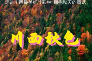 【金秋炫彩 • 川西秋色】10.17-25日 畅游九寨沟，赴约一场山水童话之旅，领略川西北彩林盛宴9日行（VIP大巴