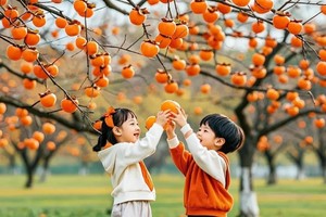 【周末柿子采摘】10月25/26日罗田打柿子、挖红薯+行摄乡村+品特色吊锅菜