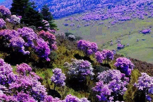 【凉山索玛●泸沽湖】4月20日-28日从大凉索玛到云南，邛海-泸沽湖-虎跳峡-白水台-巴拉格宗双飞9日