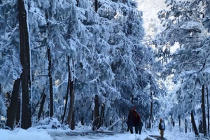 【周四/六徒步】1月22日/24日团风接天山穿大崎山赏雪徒步