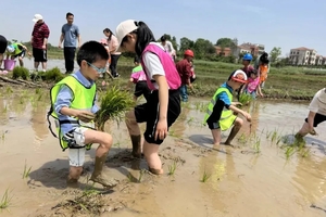 【勇者少年V2系列●农耕亲子】农事：插秧+割麦+摸鱼，科普：大米与小麦，农趣：喂孔雀/山羊/兔子等，采摘桃子/蔬菜，劳动