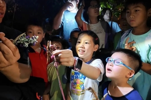 【勇者少年V2系列课程】自然探索科普营 ‖ 走进植物园，在树林里灯诱昆虫，搜寻昆虫，开启昆虫奇妙夜