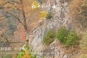 马丁公路自驾旅行