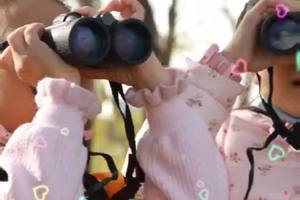 【营地教育】府河湿地观鸟