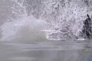 龙潭冲溯溪剪影