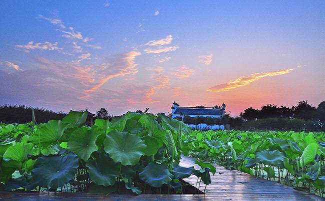 新洲紫薇都市田园拓展基地
