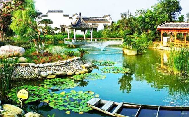 新洲紫薇都市田园拓展基地