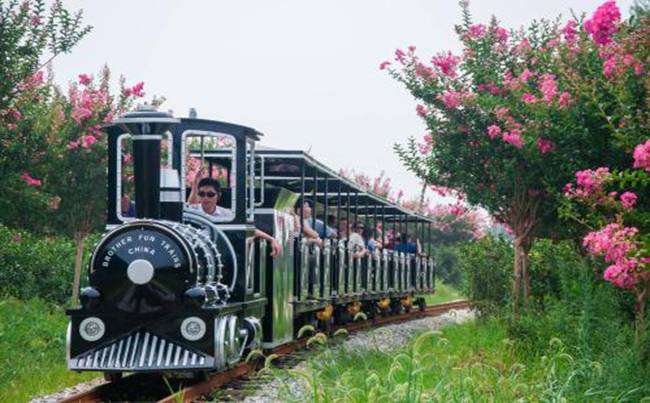 新洲紫薇都市田园拓展基地