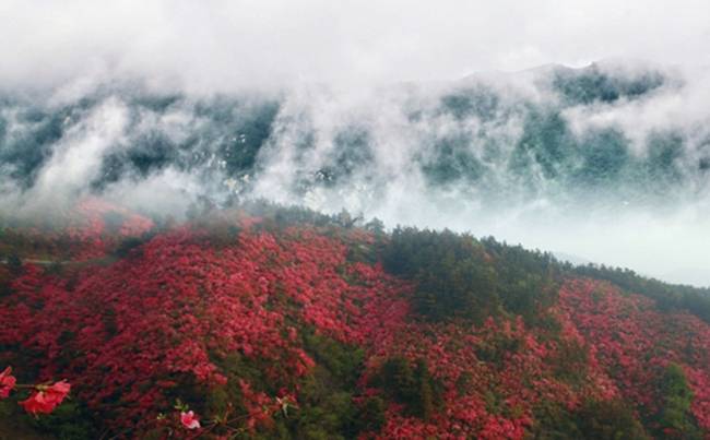 武汉木兰清凉寨拓展基地