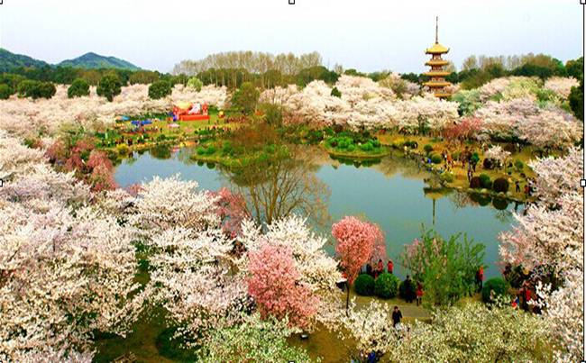 武汉东湖磨山景区