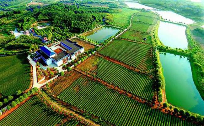 武汉景秀大地生态园