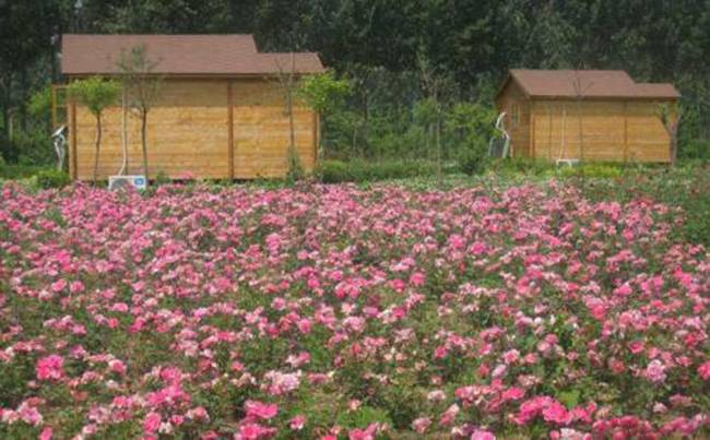 武汉景秀大地生态园