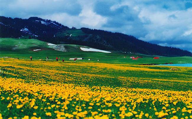 武汉景秀大地生态园