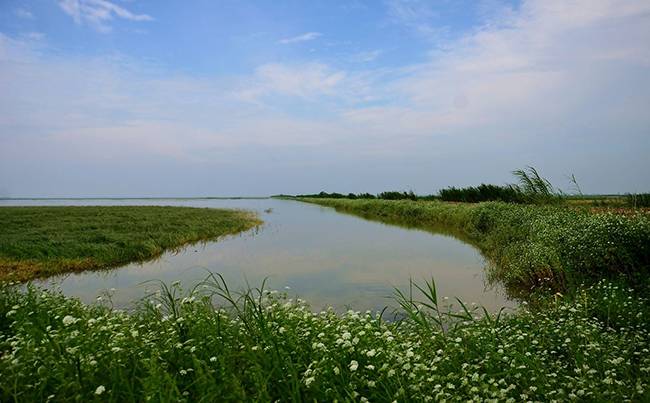 武汉荆楚沉湖度假村