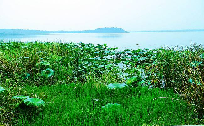 蔡甸后官湖绿道
