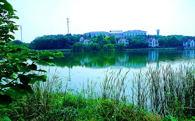 蔡甸后官湖绿道