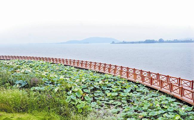 蔡甸后官湖绿道